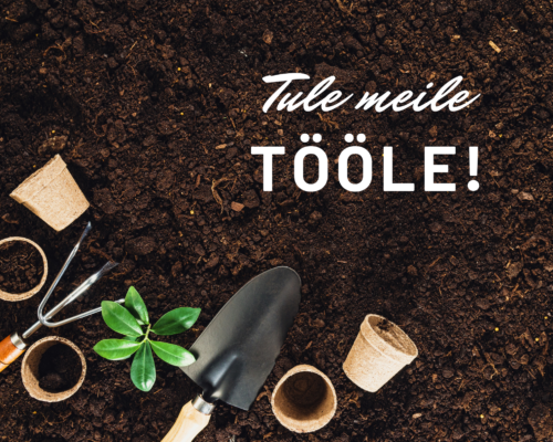 OTSIME RÕÕMSAMEELSET KOLLEEGI!