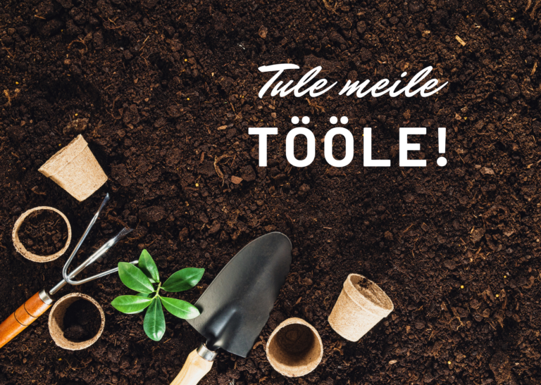 OTSIME RÕÕMSAMEELSET KOLLEEGI!
