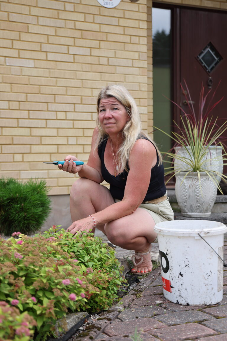 Taimede ettetellimine kevadeks: planeeri oma aed ja maksa kahes osas