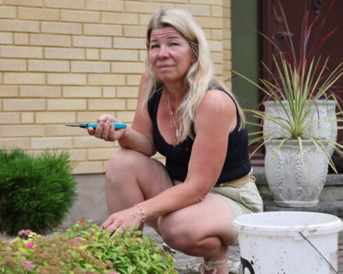 Taimede ettetellimine kevadeks: planeeri oma aed ja maksa kahes osas