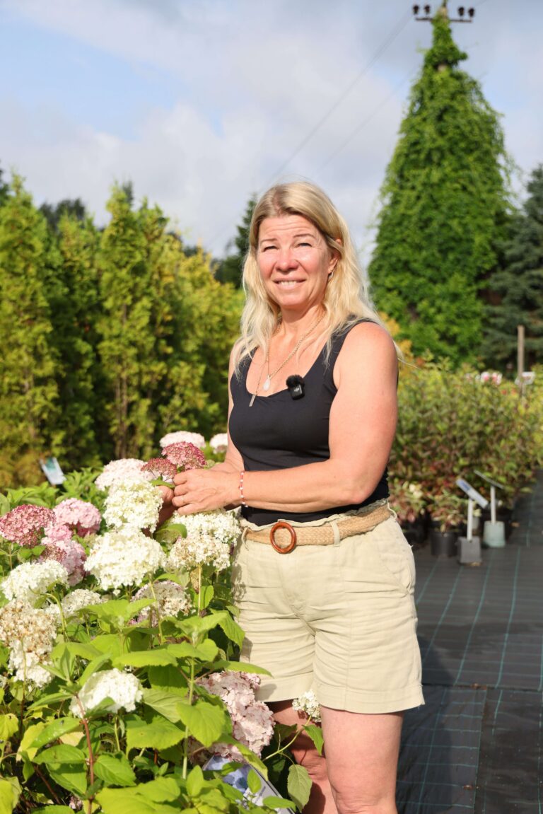 Kuidas Hortensiaid kevadel lõigata? Praktiline koolitus 14. märtsil