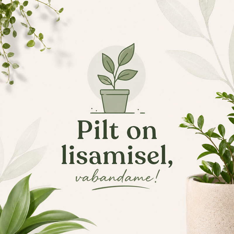 Pilt on lisamisel, vabandame!